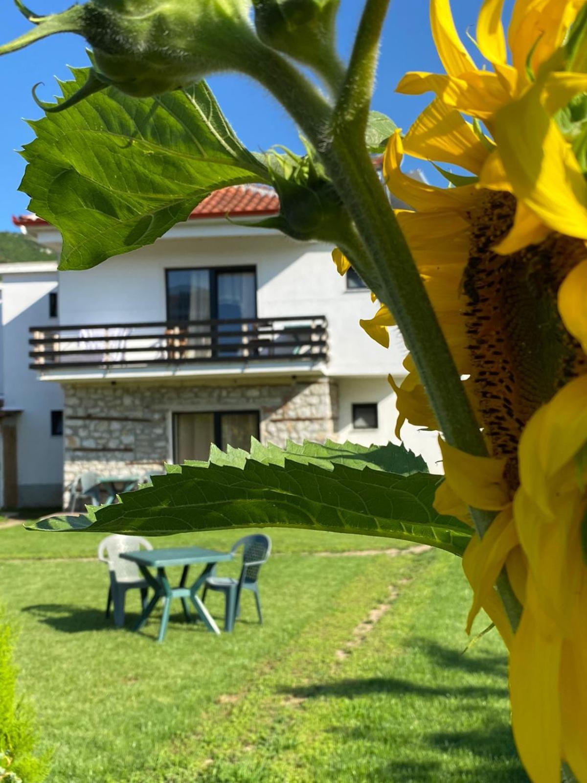 Vila Ndrio Tushemisht Exterior foto